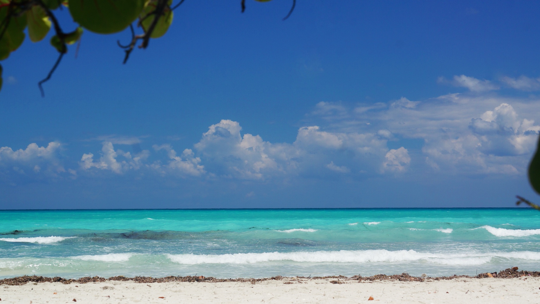 Assist card visa teléfono